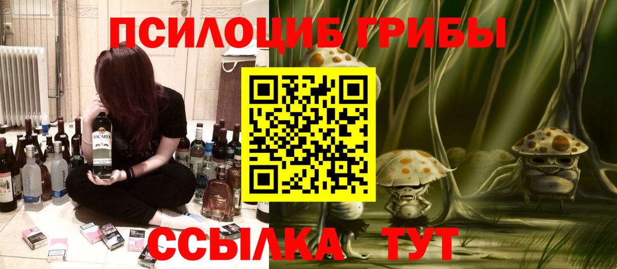 сколько стоит  Псилоцибиновые грибы Psilocybe  Вход с VPN  Янаул 